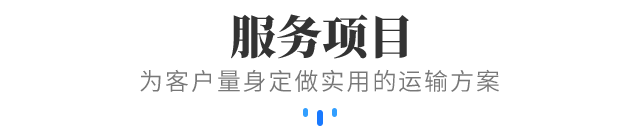 服务项目